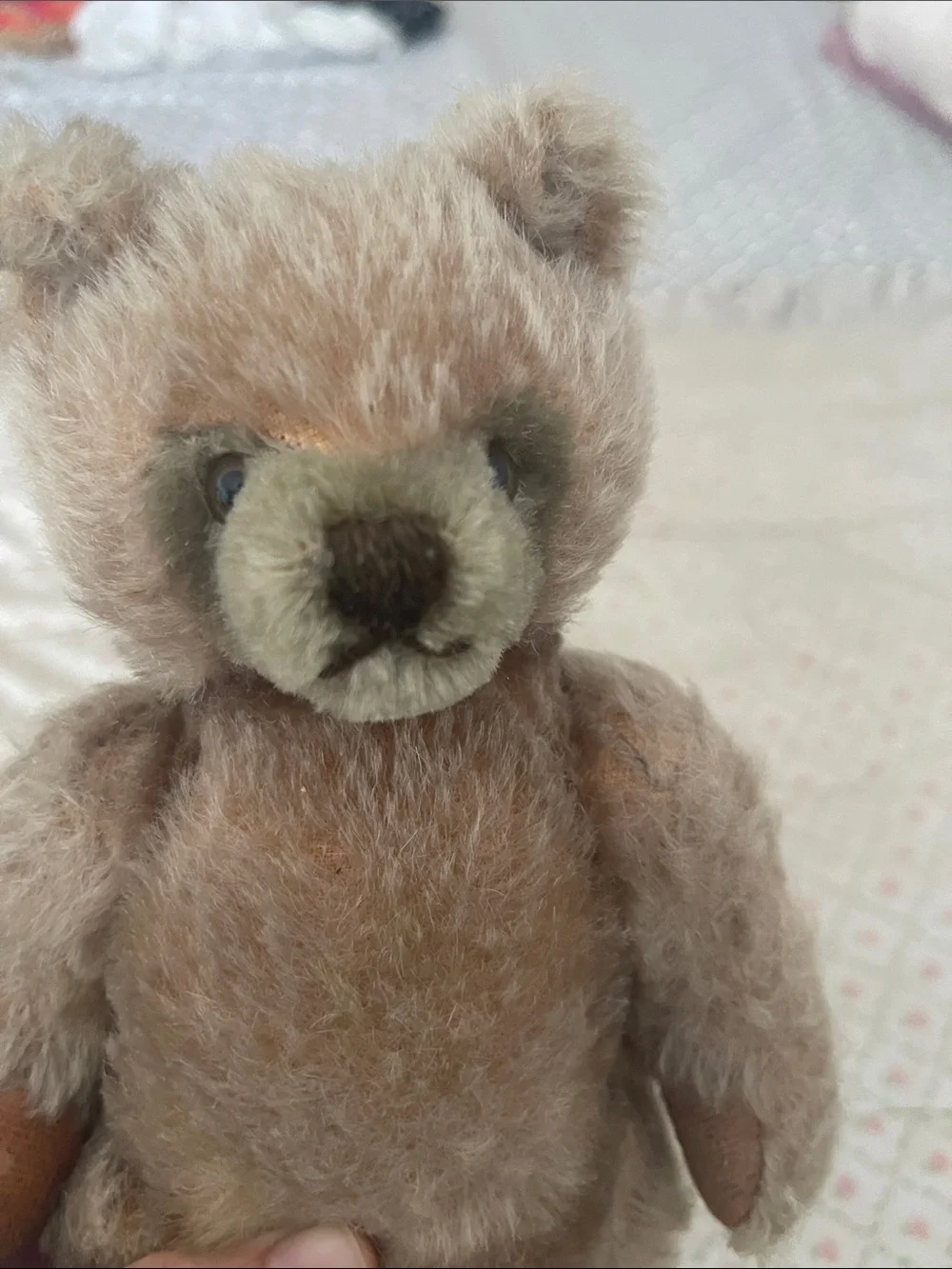 Antique well loved jointed growler steiff teddy bear